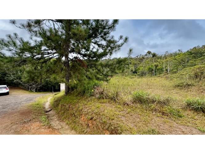 TERRENO EN VENTA – CERRO AZUL LH - Imagen 5