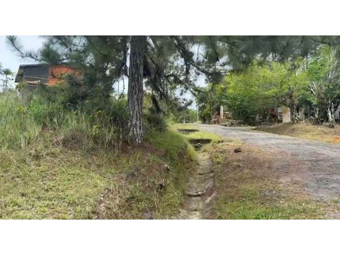 TERRENO EN VENTA – CERRO AZUL LH - Imagen 2