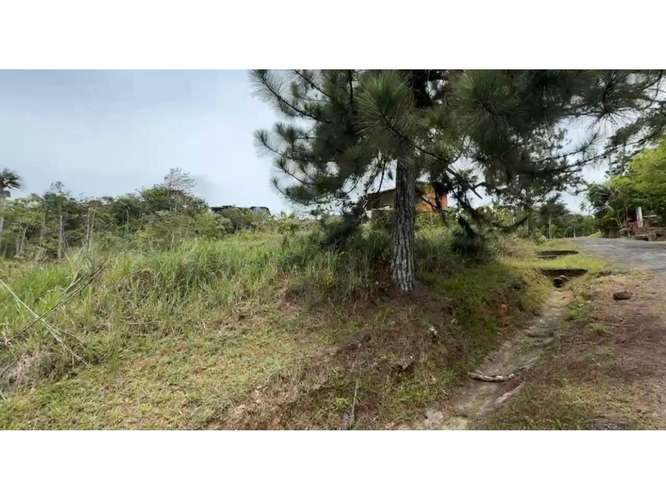 TERRENO EN VENTA – CERRO AZUL LH - Imagen 3