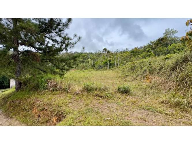 TERRENO EN VENTA – CERRO AZUL LH - Imagen 16