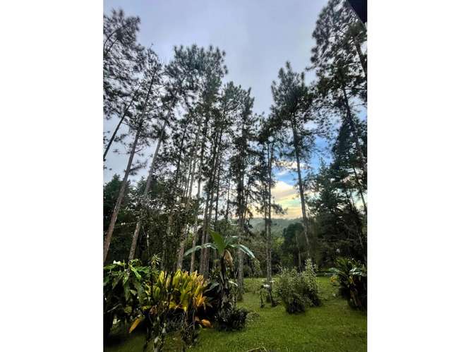 SE VENDE HERMOSA CASA 1700M EN CERRO AZUL EL VIGIA CON LINEA BLANCA - Imagen 4
