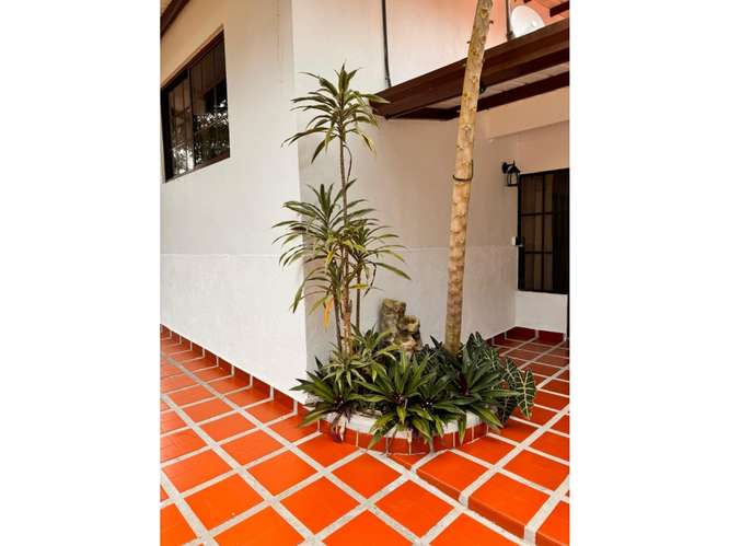 CERRO AZUL / EL VIGIA / 1700 M2 / AMOBLADO / LINEA BLANCA / CASCADA - Imagen 19