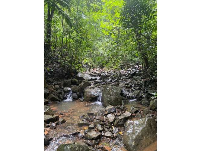 SE VENDE TERRENO 55 HECTAREAS EN CERRO AZUL CERCA DE  RIO Y QUEBRADAS
