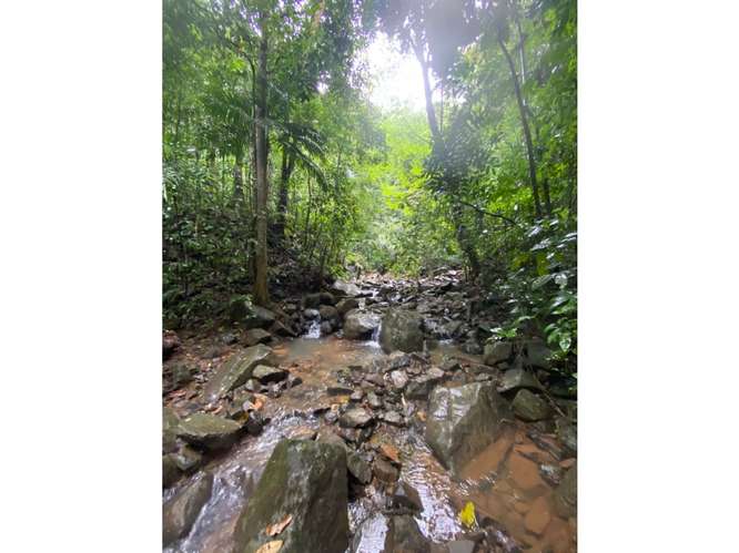 CERRO AZUL / TERRENO / 55 HECATREAS / BOSQUE / RIO / QUEBRADAS - Imagen 4
