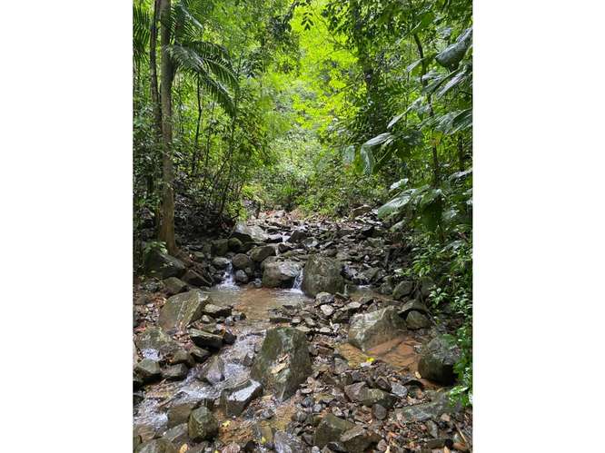 CERRO AZUL / TERRENO / 55 HECATREAS / BOSQUE / RIO / QUEBRADAS - Imagen 8