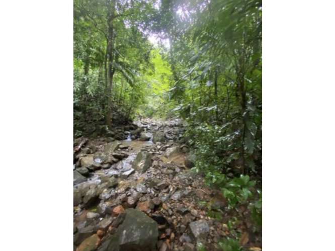 CERRO AZUL / TERRENO / 55 HECATREAS / BOSQUE / RIO / QUEBRADAS - Imagen 16