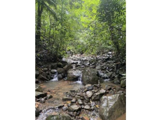 CERRO AZUL / TERRENO / 55 HECATREAS / BOSQUE / RIO / QUEBRADAS - Imagen 3