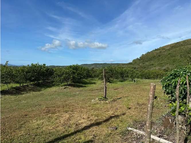 SE VENDE FINCA 11 HECTAREAS EN COCLE CAÑAVERAL HERMOSAS VISTAS