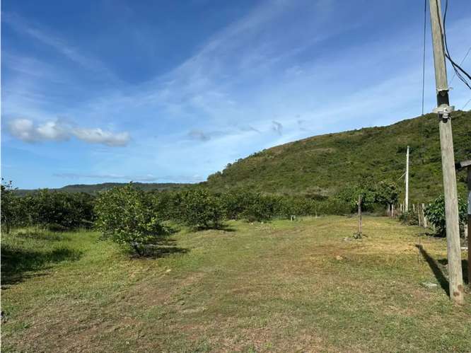 COCLE / CAÑAVERAL / FINCA / 11 HECTAREAS / ZONAS VERDES / NATURALEZA