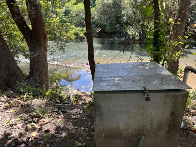 COCLE / CAÑAVERAL / FINCA / 11 HECTAREAS / ZONAS VERDES / NATURALEZA - Imagen 16