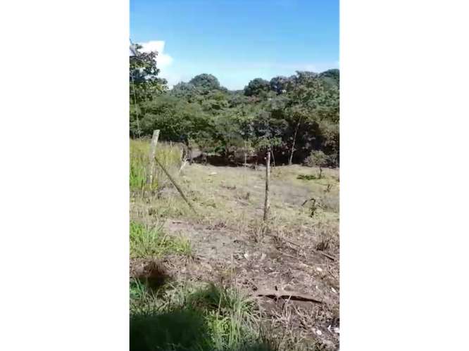 SE VENDE TERRENO 3755 M2 EN SAN CARLOS PLAYA CORONA CALLE ASFALTADA - Imagen 13