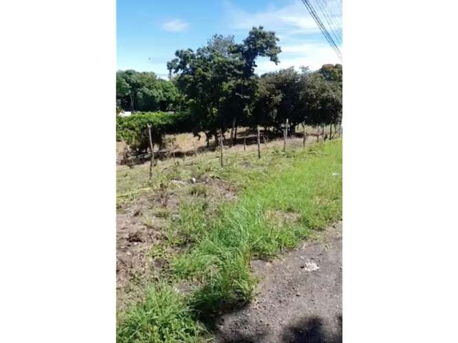 SE VENDE TERRENO 3755 M2 EN SAN CARLOS PLAYA CORONA CALLE ASFALTADA - Imagen 12