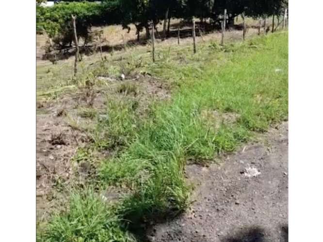 SE VENDE TERRENO 3755 M2 EN SAN CARLOS PLAYA CORONA CALLE ASFALTADA - Imagen 5