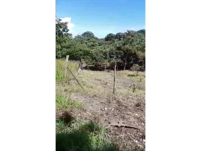 SE VENDE TERRENO 3755 M2 EN SAN CARLOS PLAYA CORONA CALLE ASFALTADA