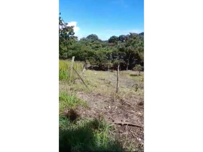 SAN CARLOS / PLAYA CORONA / 3755 M2 / CALLE ASFALTADA / ZONAS VERDES - Imagen 3