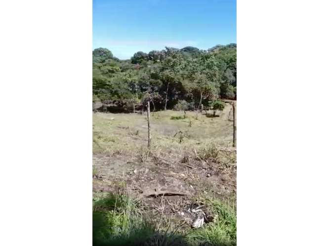 SAN CARLOS / PLAYA CORONA / 3755 M2 / CALLE ASFALTADA / ZONAS VERDES - Imagen 8