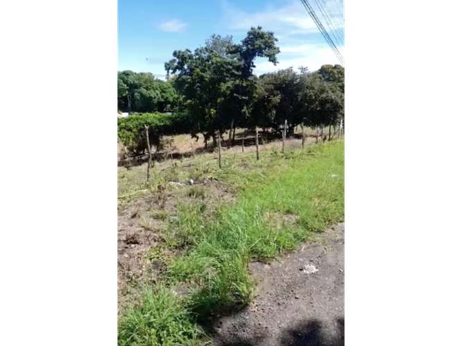 SAN CARLOS / PLAYA CORONA / 3755 M2 / CALLE ASFALTADA / ZONAS VERDES - Imagen 16