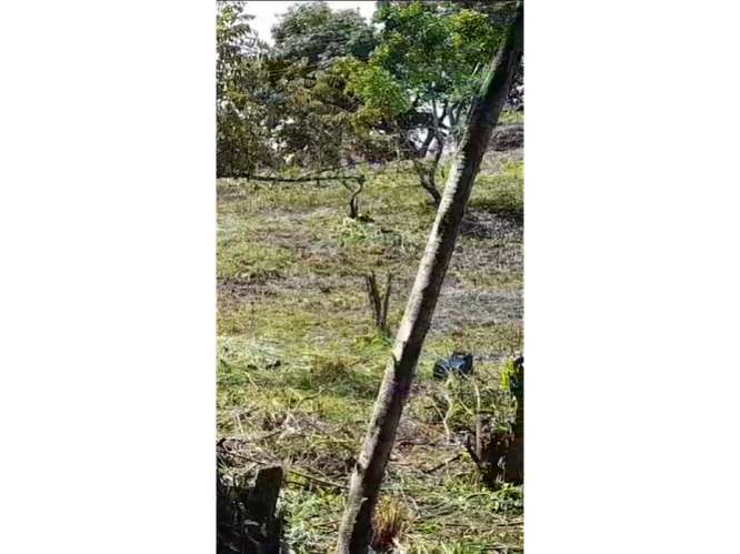 SAN CARLOS / PLAYA CORONA / 3755 M2 / CALLE ASFALTADA / ZONAS VERDES - Imagen 4
