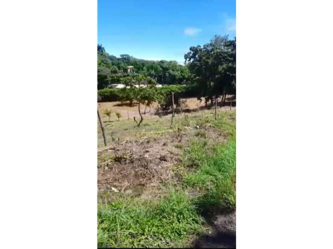 SAN CARLOS / PLAYA CORONA / 3755 M2 / CALLE ASFALTADA / ZONAS VERDES - Imagen 5