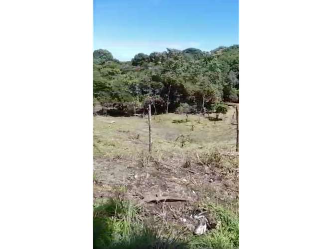 SAN CARLOS / PLAYA CORONA / 3755 M2 / CALLE ASFALTADA / ZONAS VERDES - Imagen 12
