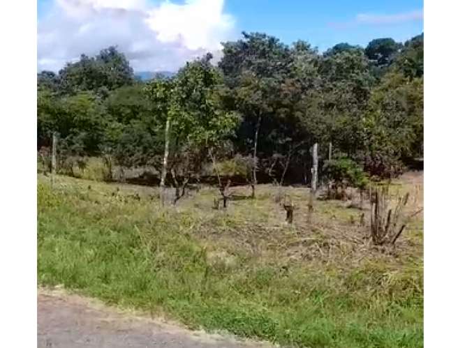 SAN CARLOS / PLAYA CORONA / 3755 M2 / CALLE ASFALTADA / ZONAS VERDES
