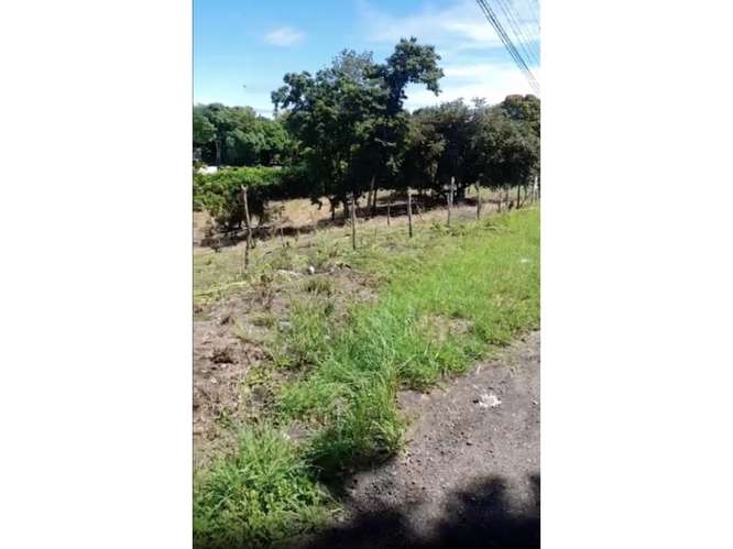 SAN CARLOS / PLAYA CORONA / 3755 M2 / CALLE ASFALTADA / ZONAS VERDES - Imagen 7