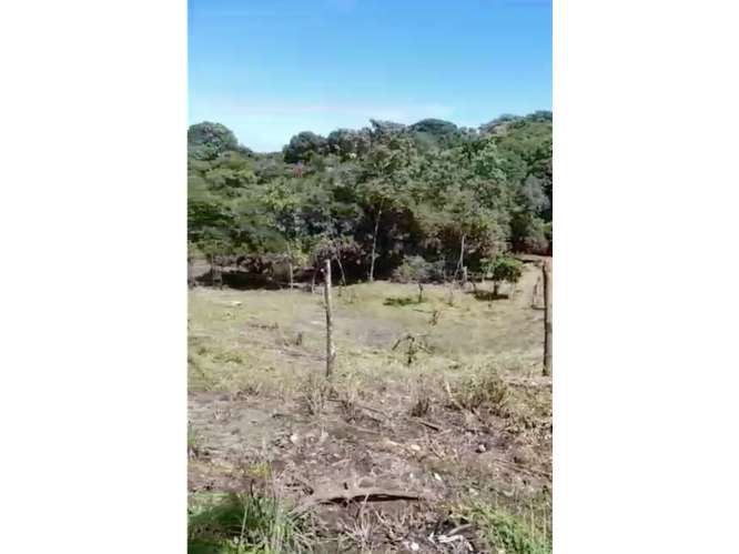 SAN CARLOS / PLAYA CORONA / 3755 M2 / CALLE ASFALTADA / ZONAS VERDES - Imagen 17