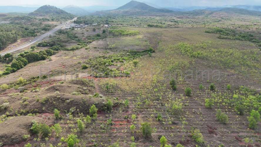 FINCA DE 58.7 HECTÁREAS EN VENTA | CAÑAZA, LA MESA, VERAGUAS AMD - Imagen 6