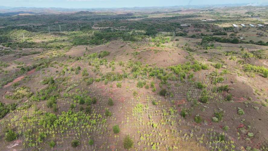 FINCA DE 58.7 HECTÁREAS EN VENTA | CAÑAZA, LA MESA, VERAGUAS AMD - Imagen 4