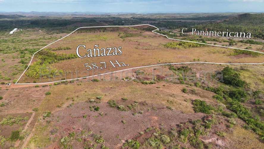 FINCA DE 58.7 HECTÁREAS EN VENTA | CAÑAZA, LA MESA, VERAGUAS AMD - Imagen 2