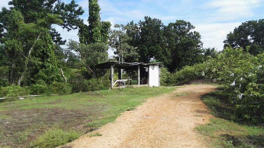 Venta terreno en Los Santos - uso agrícola y pecuario | uVIK-27-67 - Imagen 9