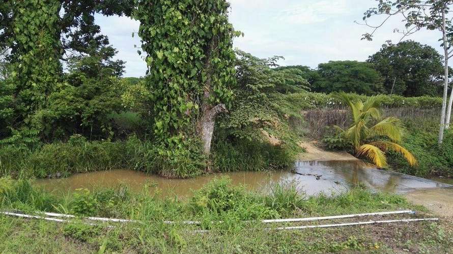 Venta terreno en Los Santos - uso agrícola y pecuario | uVIK-27-67 - Imagen 2
