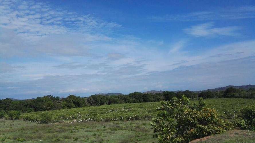 Venta terreno en Los Santos - uso agrícola y pecuario | uVIK-27-67 - Imagen 3