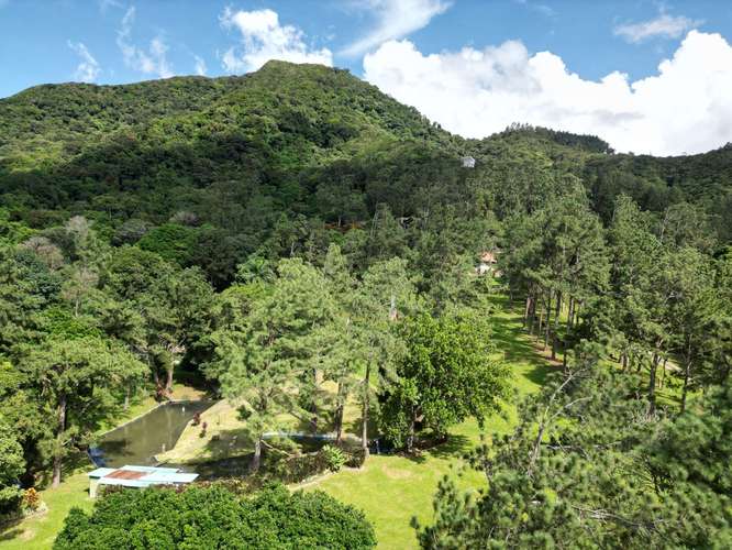 Venta de Terreno en El Valle de Antón, 3.1 hectáreas - Imagen 6
