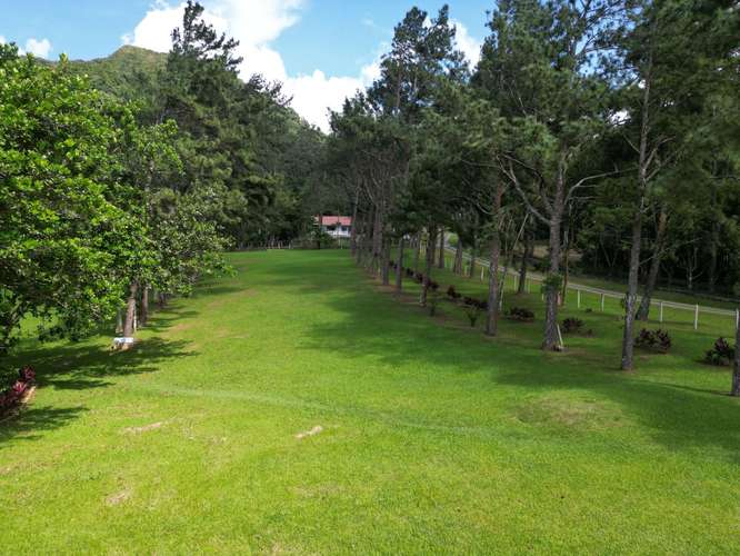 Venta de Terreno en El Valle de Antón, 3.1 hectáreas - Imagen 17