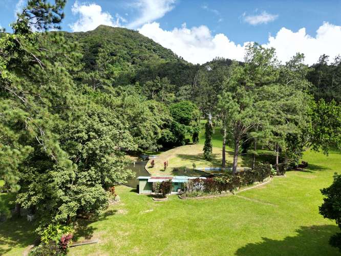 Venta de Terreno en El Valle de Antón, 3.1 hectáreas - Imagen 7