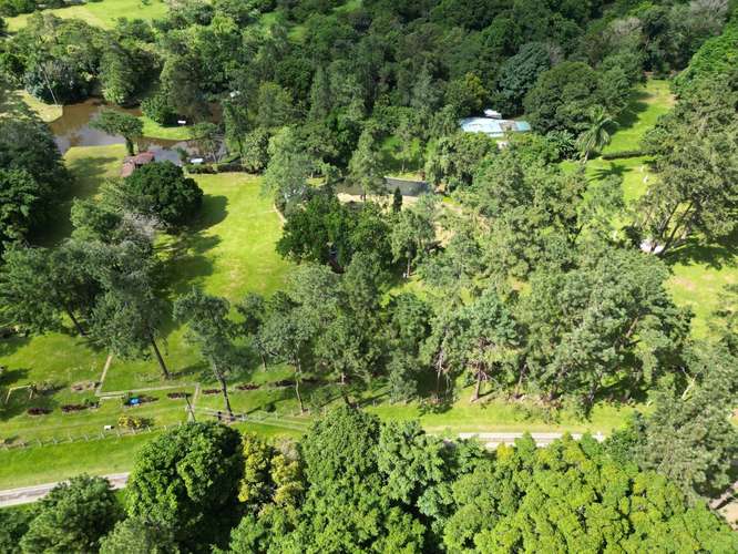 Venta de Terreno en El Valle de Antón, 4.6 hectáreas - Imagen 11