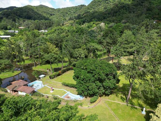 Venta de Terreno en El Valle de Antón, 4.6 hectáreas - Imagen 7