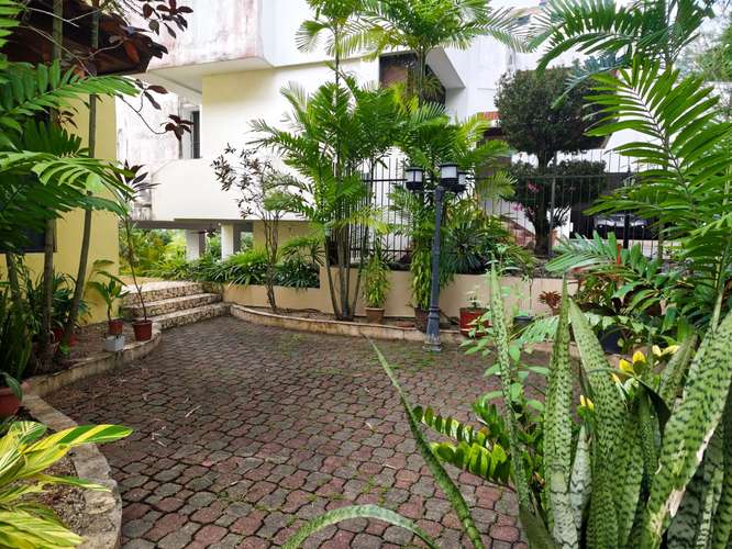 For Rent House Dos Mares - Imagen 15