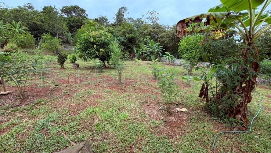 Venta de Casa en Herrera DDB27-1633 - Imagen 15
