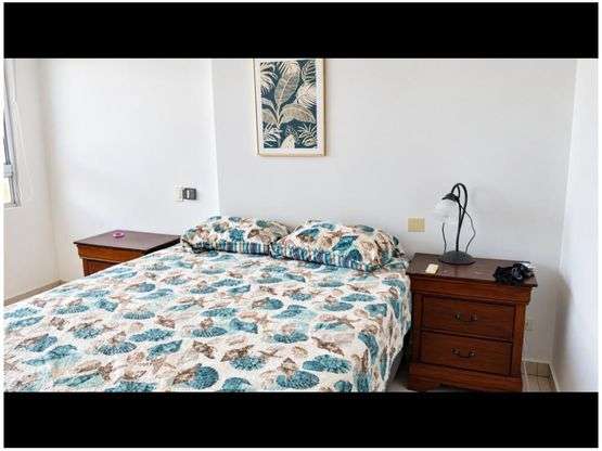 ALQUILER DE APARTAMENTO AMOBLADO EN PH TERRAWIND, SAN FRANCISCO - Imagen 8