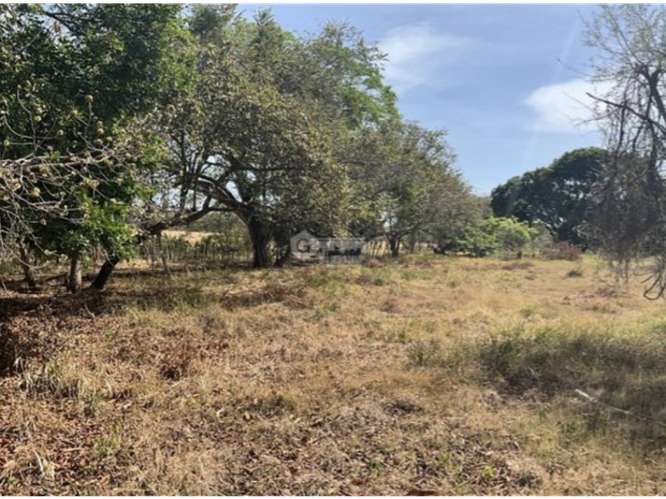 SE VENDE FINCA 3 HECTAREAS EN LAS TABLAS  CON FACIL ACCESO - Imagen 15