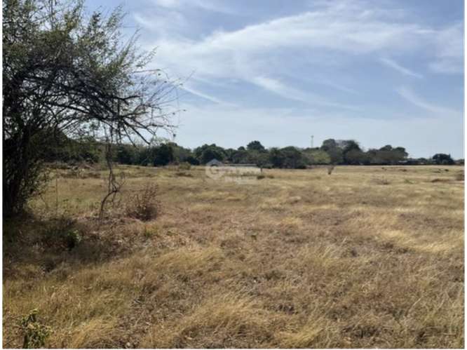 SE VENDE FINCA 3 HECTAREAS EN LAS TABLAS  CON FACIL ACCESO - Imagen 12