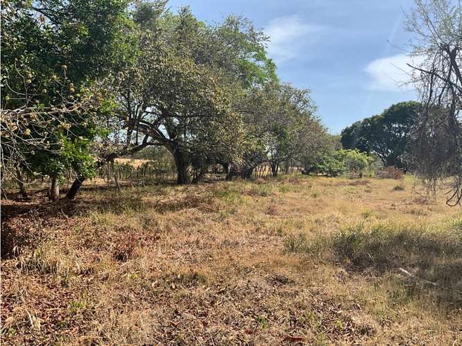 SE VENDE FINCA 3 HECTAREAS EN LAS TABLAS  CON FACIL ACCESO