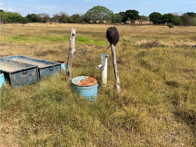 SE VENDE FINCA 3 HECTAREAS EN LAS TABLAS  CON FACIL ACCESO - Imagen 6