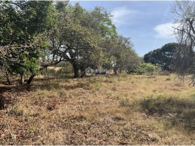 SE VENDE FINCA 3 HECTAREAS EN LAS TABLAS  CON FACIL ACCESO - Imagen 9