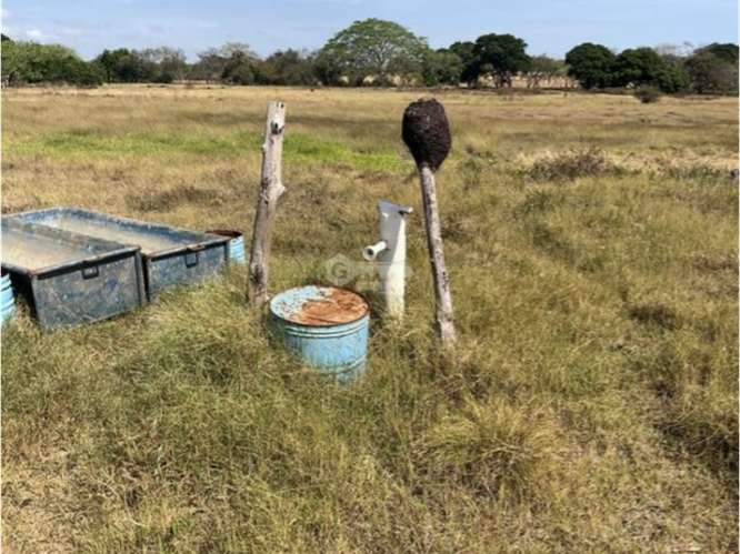 SE VENDE FINCA 3 HECTAREAS EN LAS TABLAS  CON FACIL ACCESO - Imagen 17