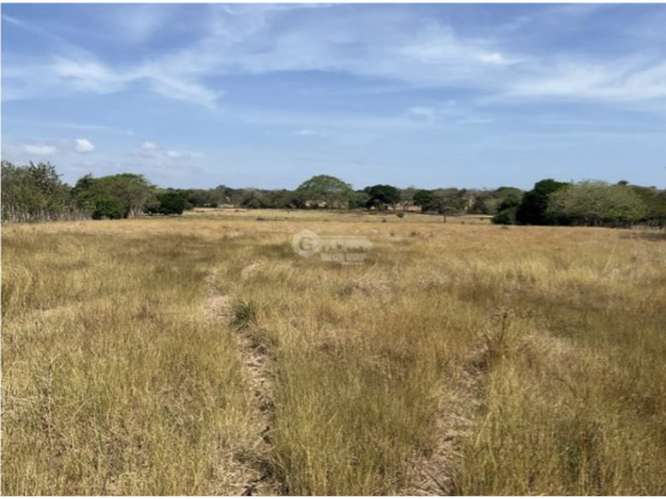 LAS TABLAS / FINCA / 3 HECTAREAS / POZO DE AGUA / FACIL ACCESO - Imagen 10