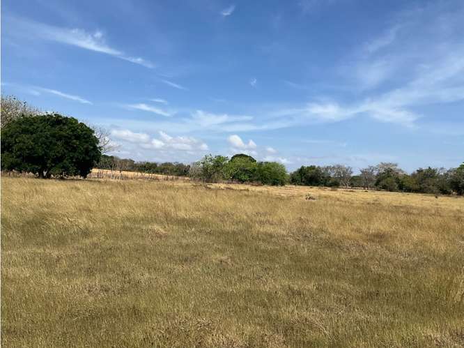 LAS TABLAS / FINCA / 3 HECTAREAS / POZO DE AGUA / FACIL ACCESO - Imagen 3