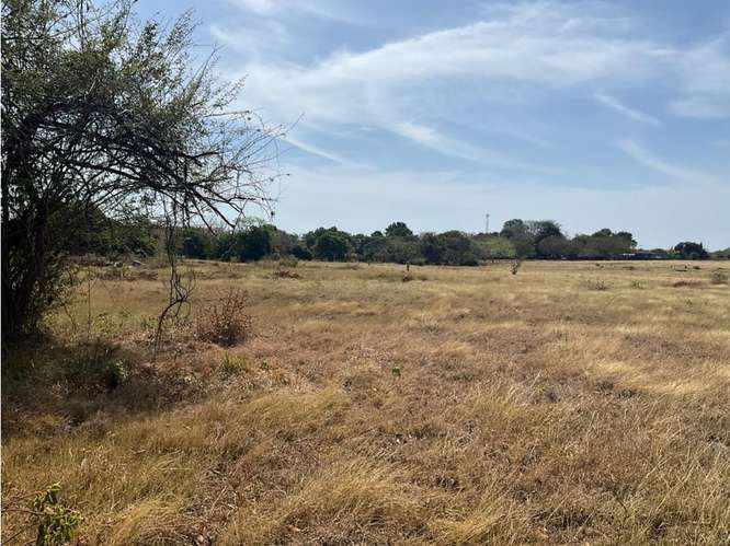 LAS TABLAS / FINCA / 3 HECTAREAS / POZO DE AGUA / FACIL ACCESO - Imagen 2